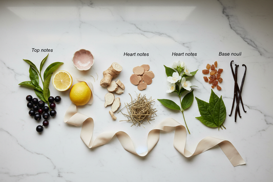 Understanding Fragrance Notes: Top, Heart & Base